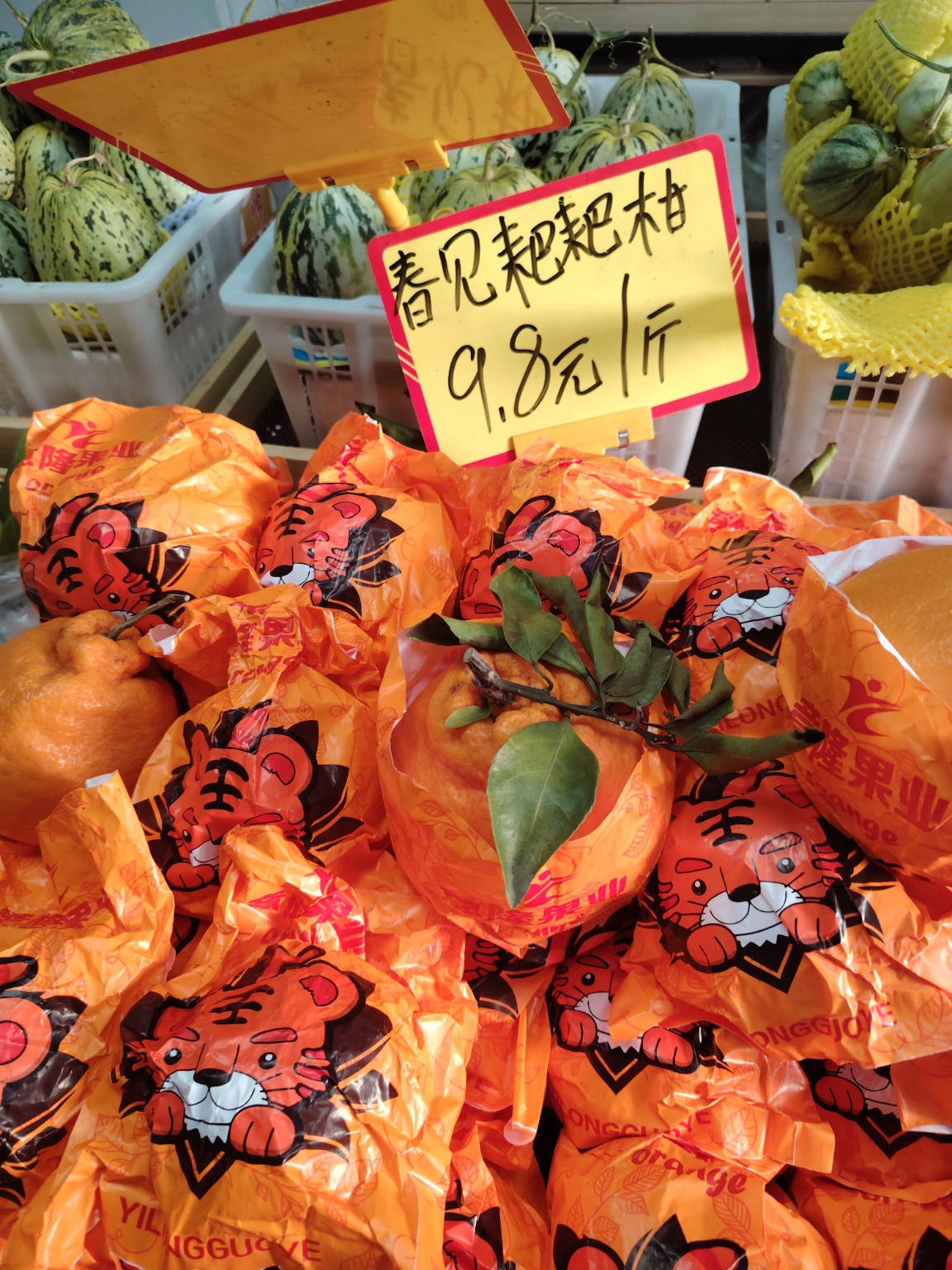 Persimmons in a Beijing fruit shop